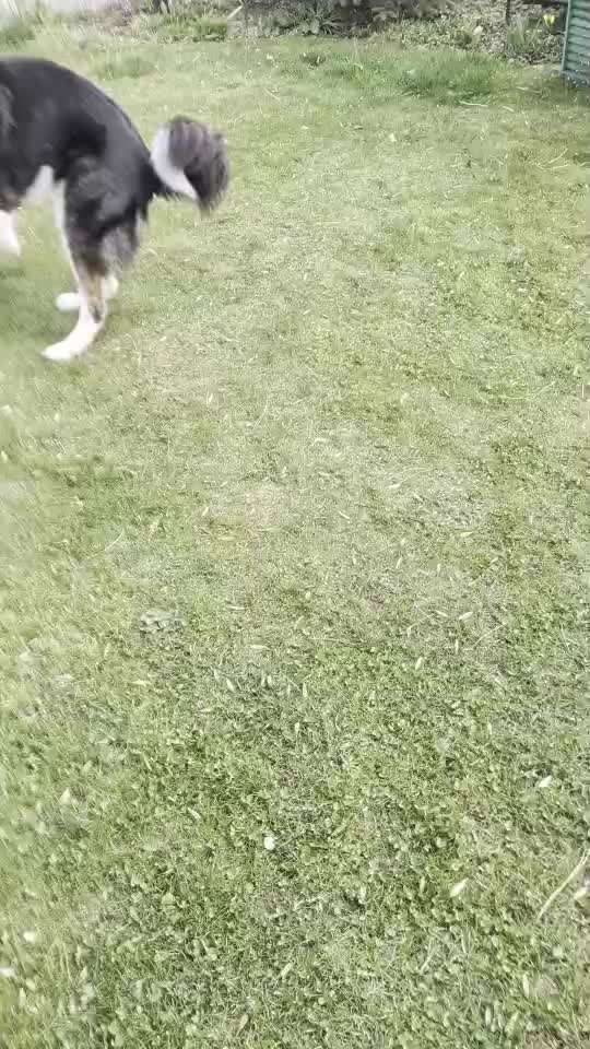 aktuelles Foto Gruppe Körpersprache lesen & verstehen