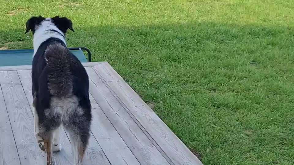 Ist das ein...?-Beitrag-Bild