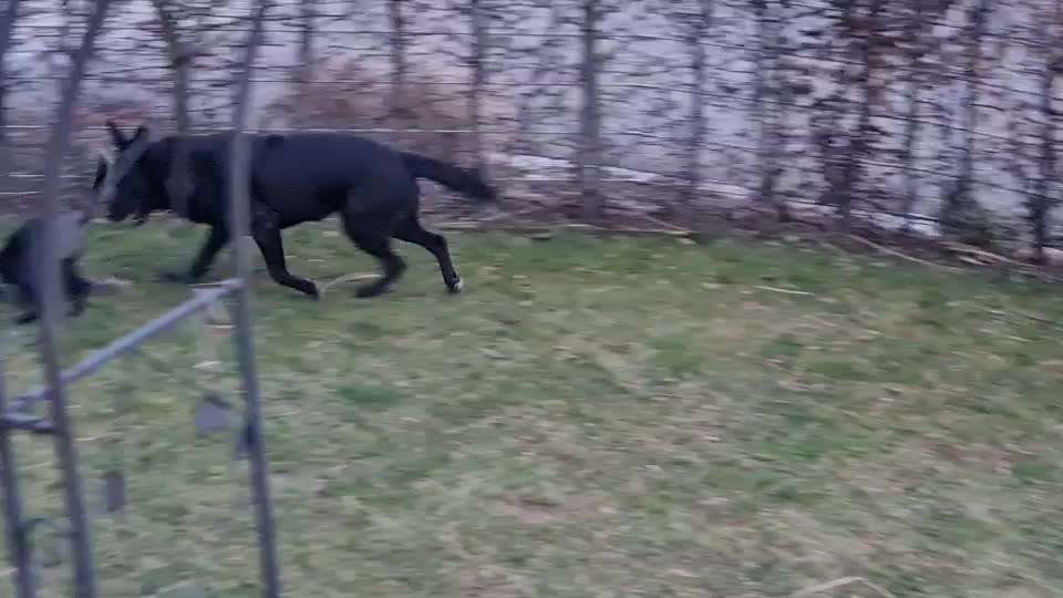 Analyse & Interpretation von Verhalten-Beitrag-Bild