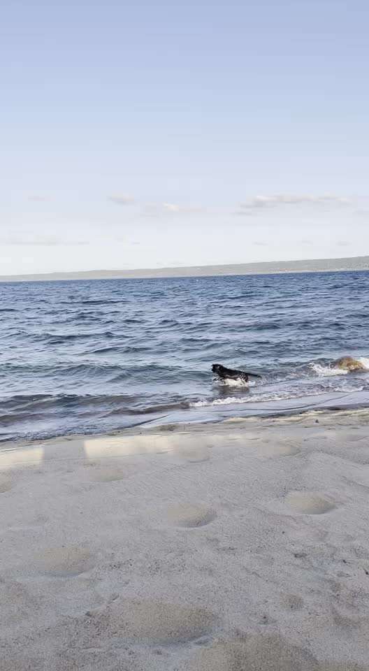 Dogorama Video Challenge: Lustige Wasser Videos-Beitrag-Bild