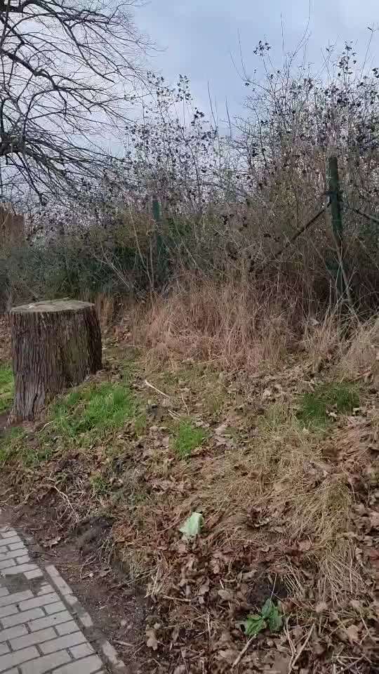 Trick Challenge Nr. 7-Beitrag-Bild