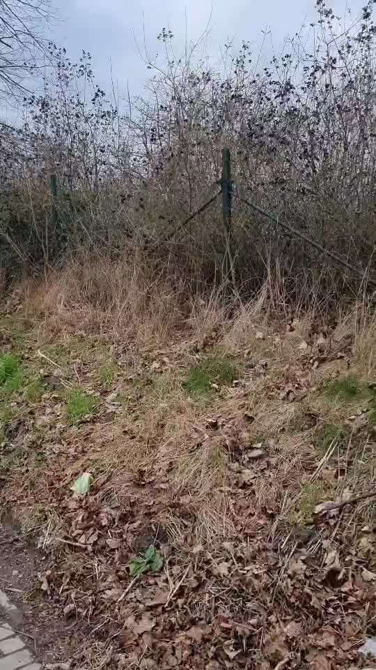 Trick Challenge Nr. 7-Beitrag-Bild