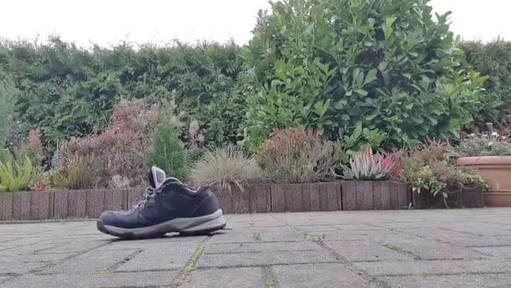 Trickdogging-Beitrag-Bild