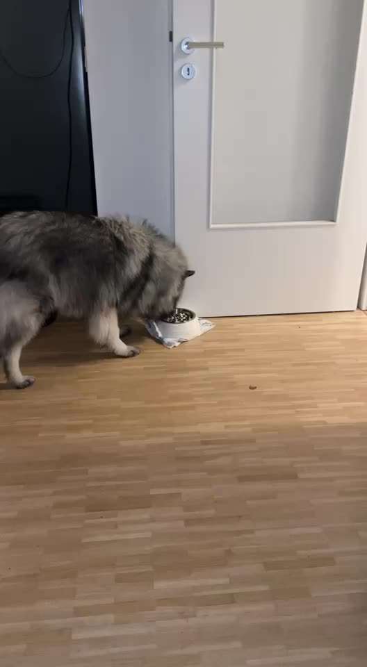 Deklarierung der Inhalte-Beitrag-Bild