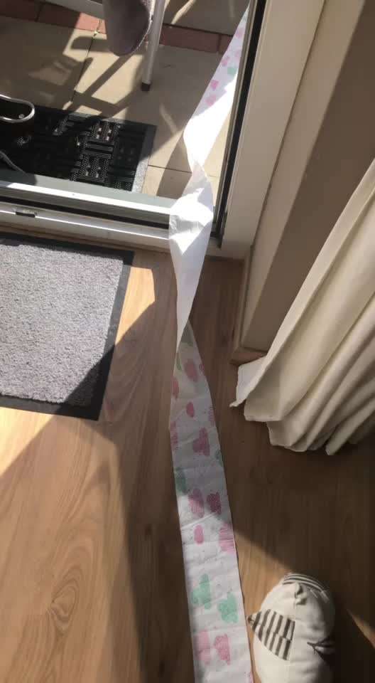 Zeig mir, dass du mit einem hund zusammenlebst....-Beitrag-Bild