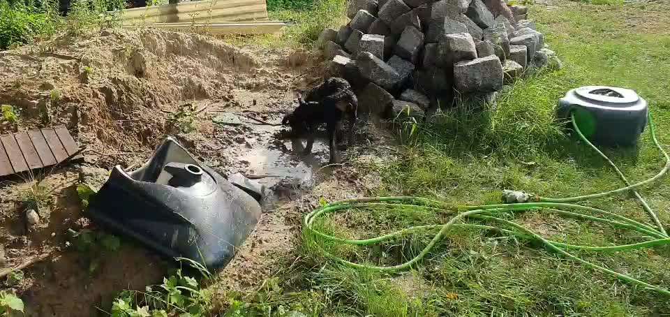 Die Dogorama Wochen Challenge-Beitrag-Bild