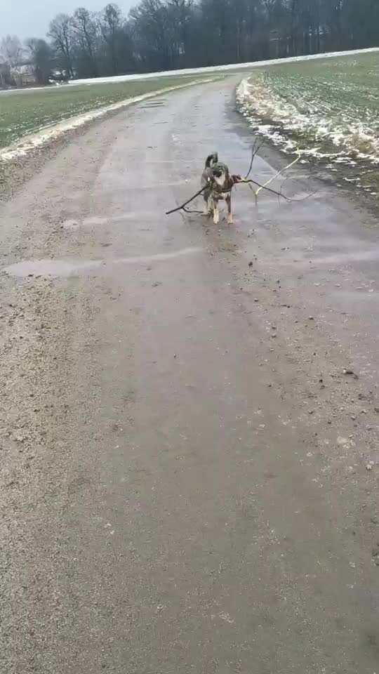 Analyse & Interpretation von Verhalten-Beitrag-Bild