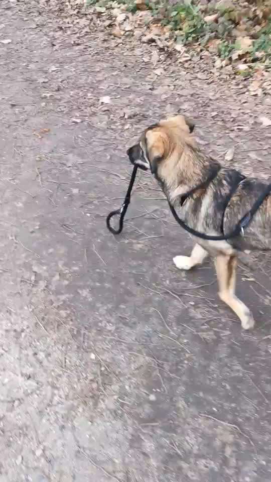 Analyse & Interpretation von Verhalten-Beitrag-Bild