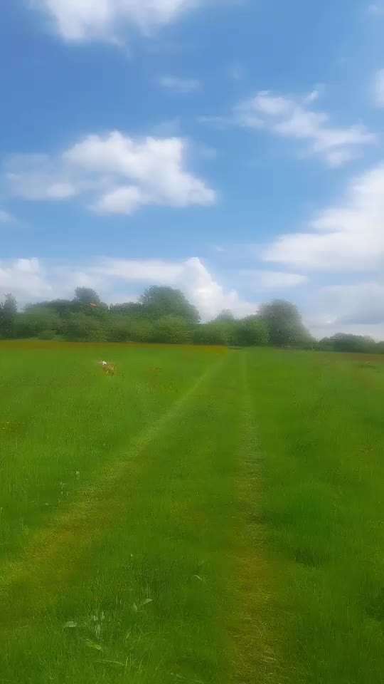 Spiel im Freien-Beitrag-Bild