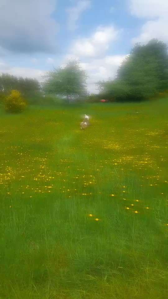 Spiel im Freien-Beitrag-Bild