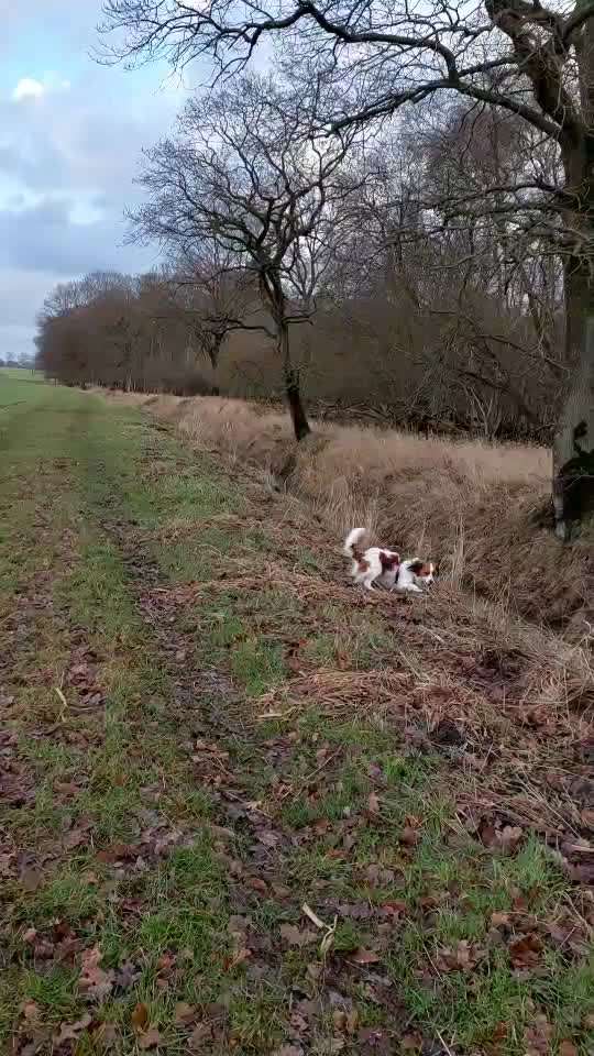 15. Video Challenge.  In SloMo die Welt erkunden!-Beitrag-Bild