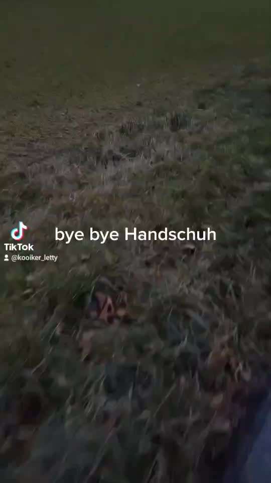 Handy Video Challange Nr. 27  "Suchen und Finden"-Beitrag-Bild