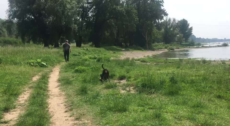 Video Challenge Nr.6
Auf den Spuren der Freiheit🐾🐾-Beitrag-Bild