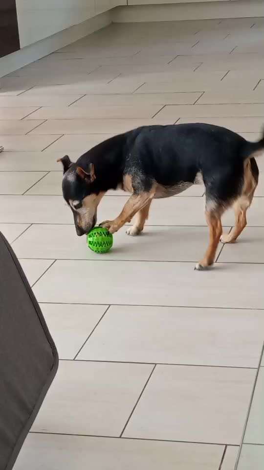 44. Video Challenge - Spielen mit dem Lieblingsspielzeug-Beitrag-Bild