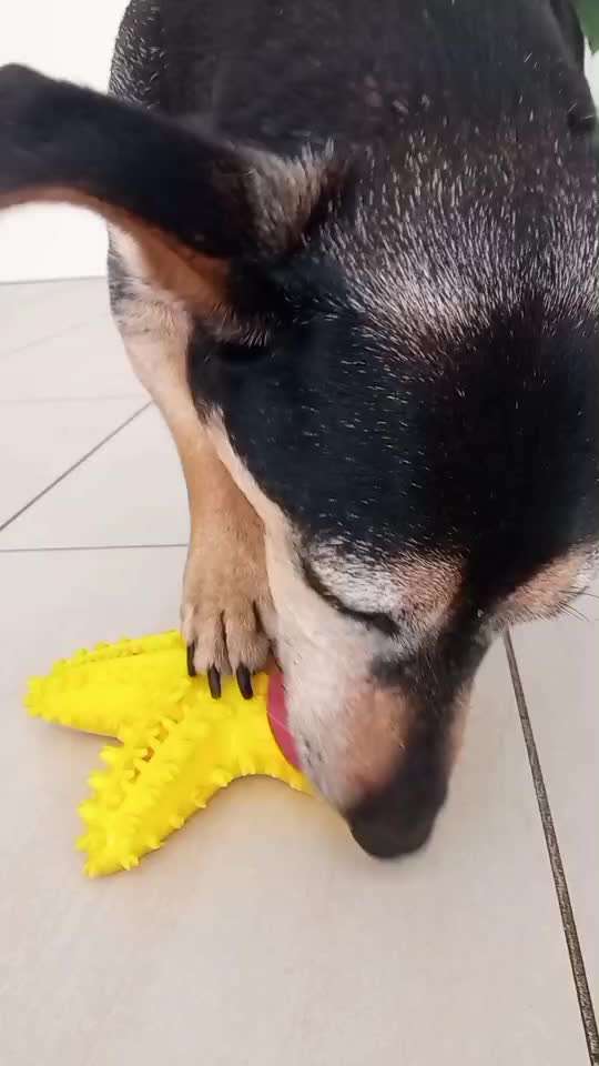 Handy Video Challenge Nr.36 Indoorbespaßung-Beitrag-Bild