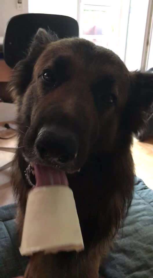 Video Challenge Nr. 4 - Lecker, Lecker-Beitrag-Bild