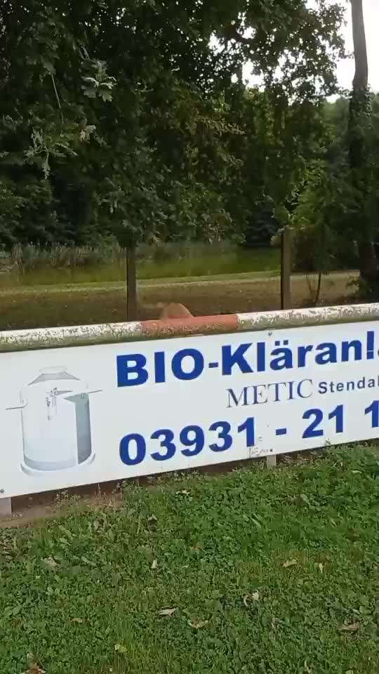 Beschäftigungsmöglichkeiten für sehr aktiven Jund-Beitrag-Bild