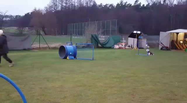 Hoopers unser Sport-Beitrag-Bild