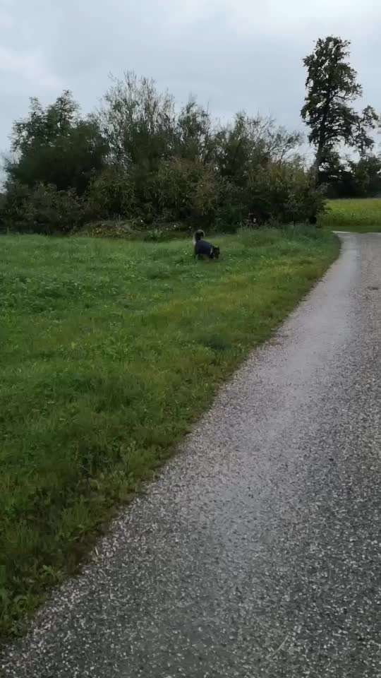 Pullis, Jacken, Hütte und alles sonstiges-Beitrag-Bild