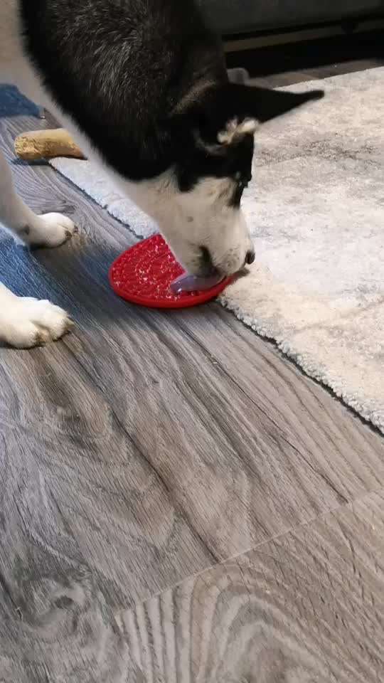 Leckmatten-Beitrag-Bild