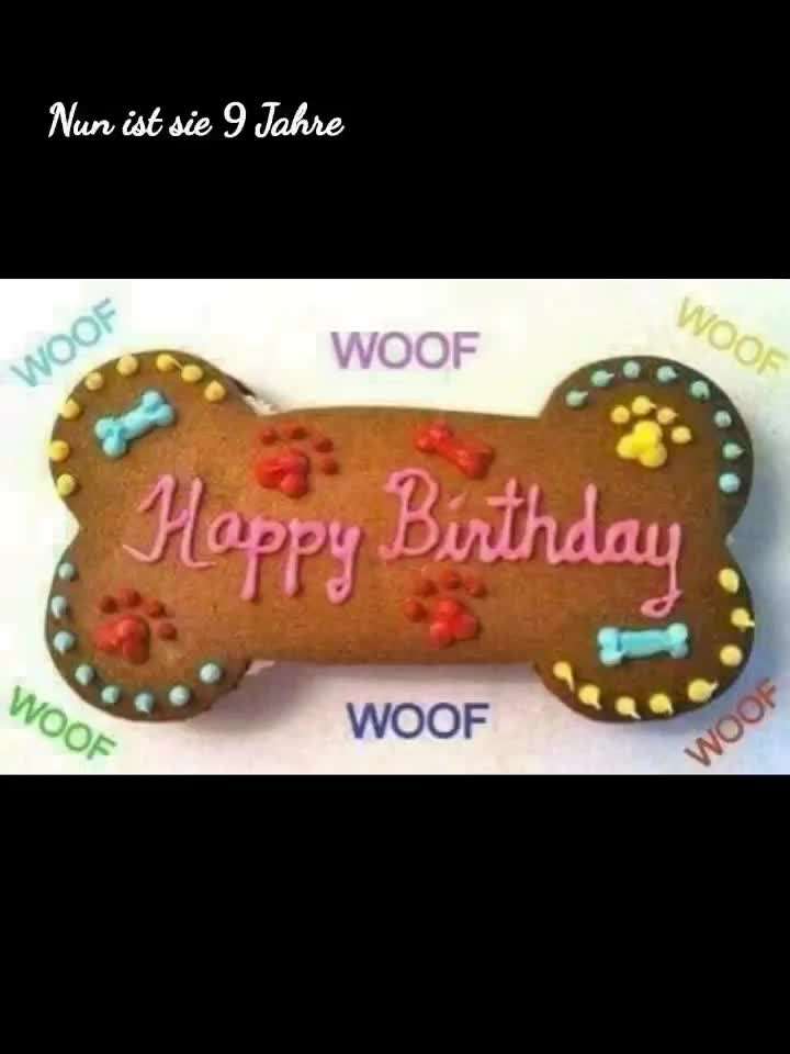 Wie kamst du zu deinem Hund?-Beitrag-Bild