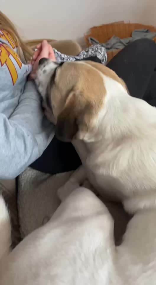 Schlabbern bis die Hände tropfen-Beitrag-Bild