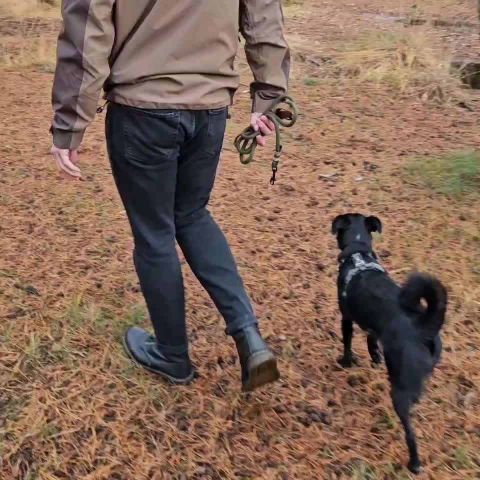 TierschutzhundeStammtisch🐕-Beitrag-Bild