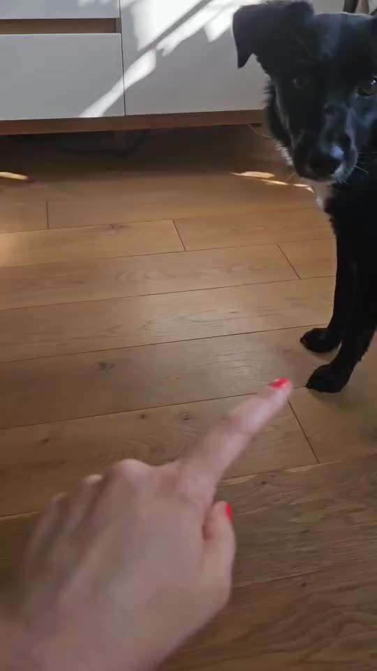 Trick- Challenge Nr. 31 ,Schieben‘-Beitrag-Bild