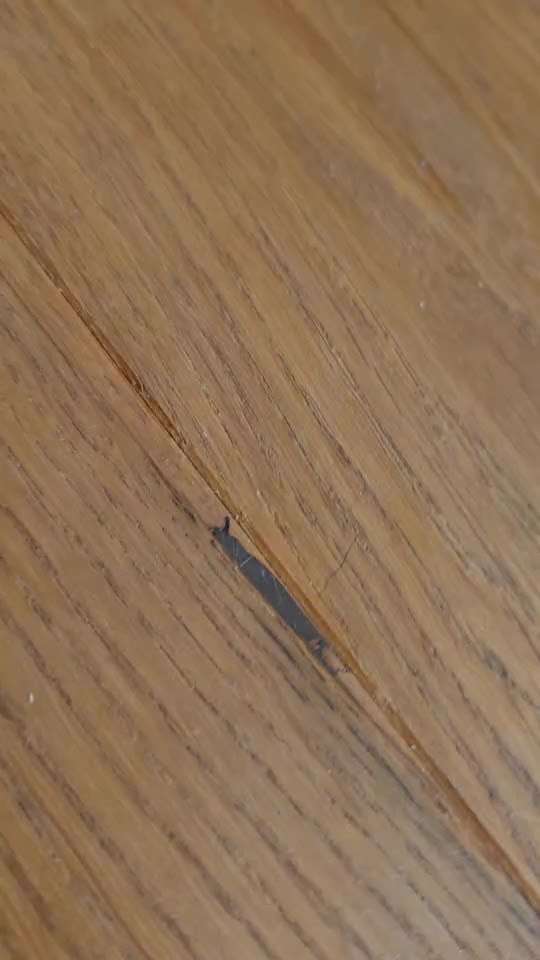 Trick- Challenge Nr. 31 ,Schieben‘-Beitrag-Bild