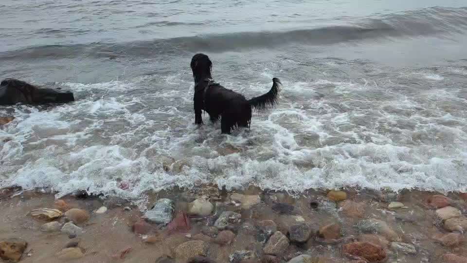 50. Video Challenge - Wasserscheu oder nicht-Beitrag-Bild