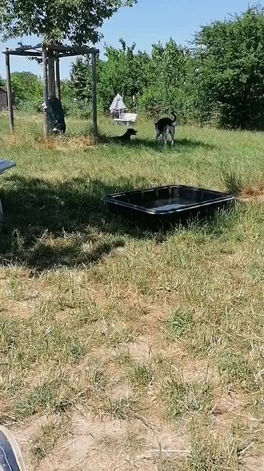 Analyse & Interpretation von Verhalten-Beitrag-Bild