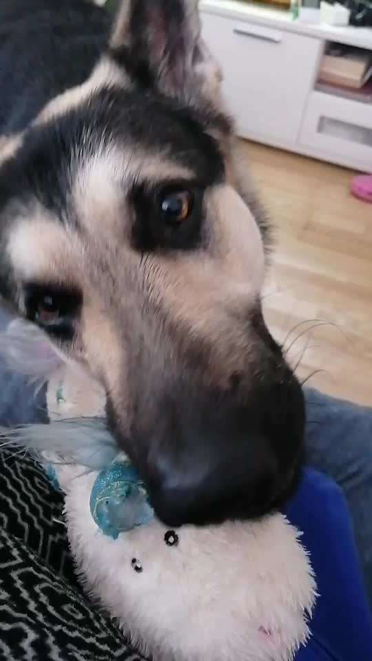 Analyse & Interpretation von Verhalten-Beitrag-Bild