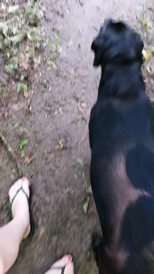 Analyse & Interpretation von Verhalten-Beitrag-Bild