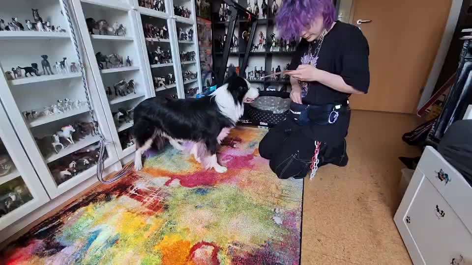 Veteranenzone - Koffer packen für fortgeschrittene-Beitrag-Bild