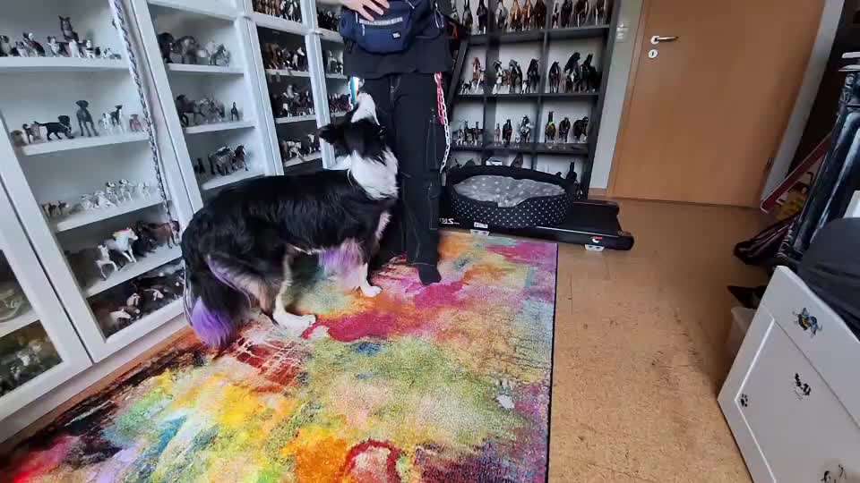 Veteranenzone - Koffer packen für fortgeschrittene-Beitrag-Bild