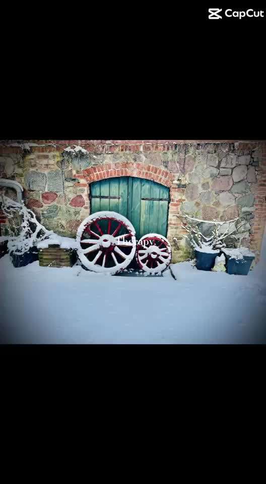 Rhodesian Ridgeback-Beitrag-Bild