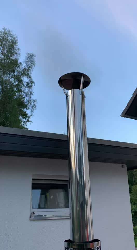 Rhodesian Ridgeback-Beitrag-Bild