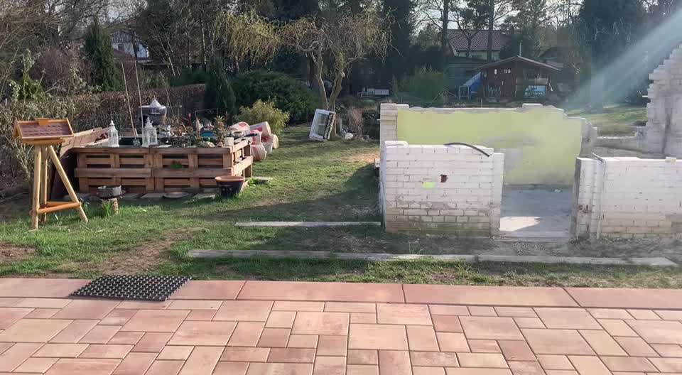 Rhodesian Ridgeback-Beitrag-Bild