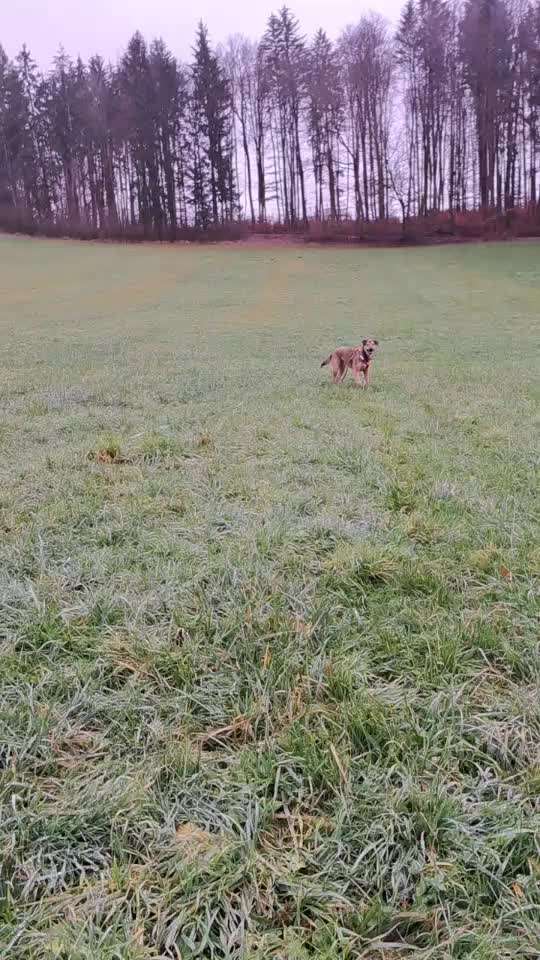 15. Video Challenge.  In SloMo die Welt erkunden!-Beitrag-Bild