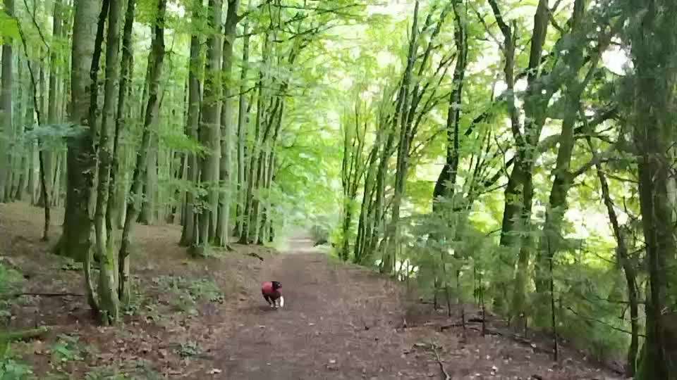 17. Kurzgeschichten Challenge: Schietwetter-Beitrag-Bild