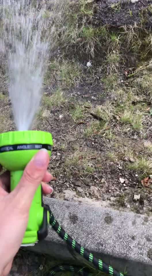 Dansky (Dansk-Svensk Gårdshund)-Beitrag-Bild