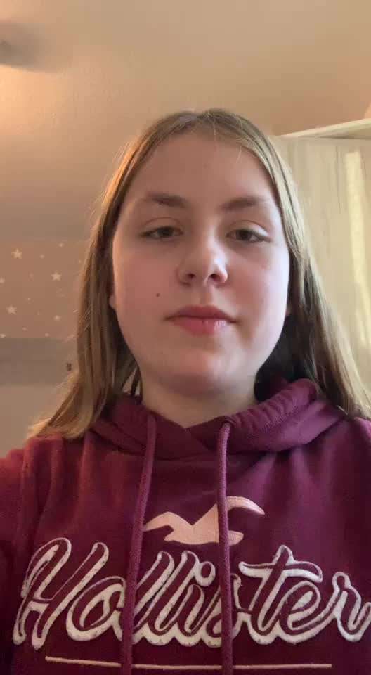 Hunde Verhalten-Beitrag-Bild