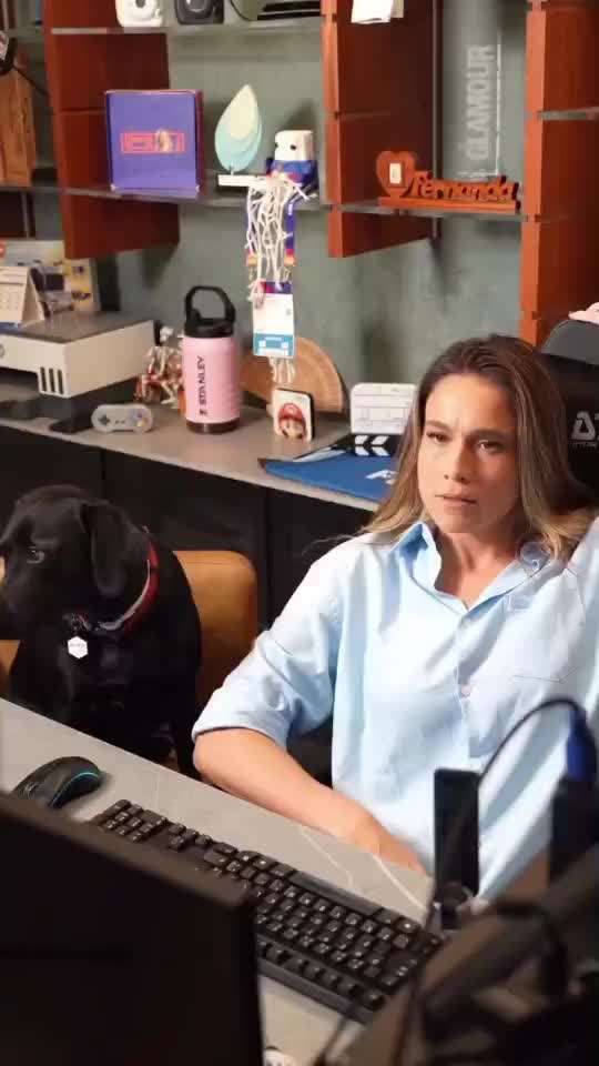 Hunde Memes-Beitrag-Bild