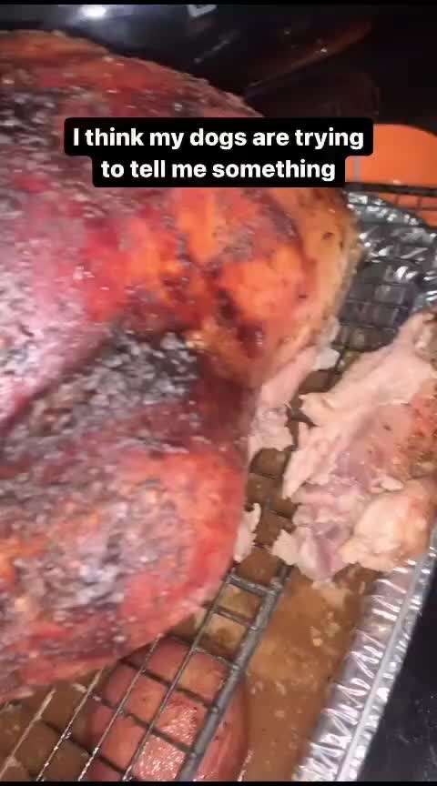 Hunde Memes-Beitrag-Bild