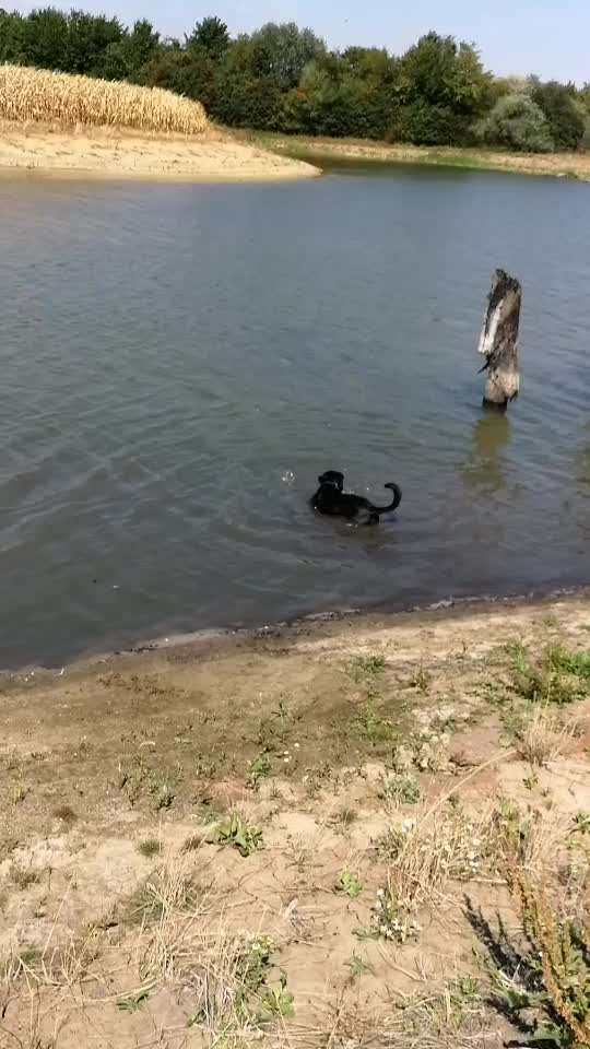 50. Video Challenge - Wasserscheu oder nicht-Beitrag-Bild