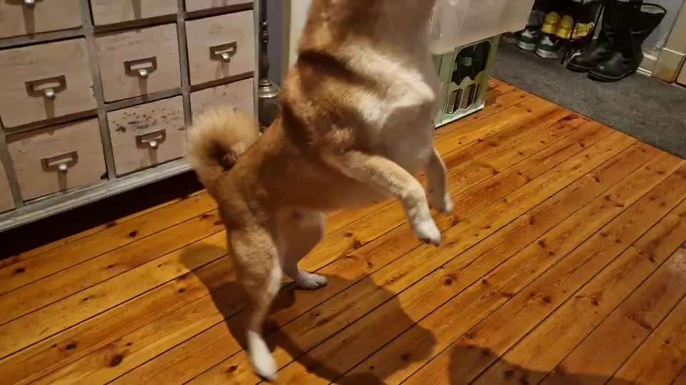 aktuelles Foto Gruppe Trickkiste