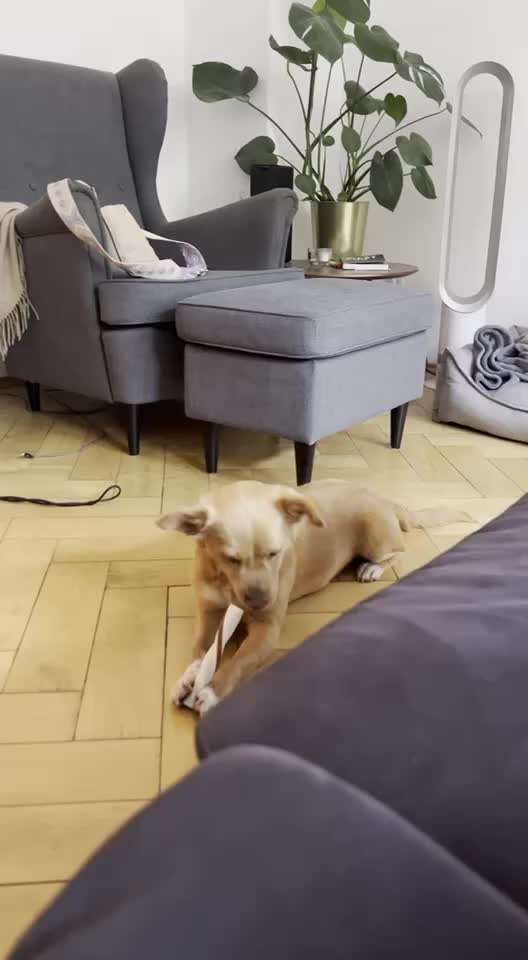 Video Challenge Nr. 4 - Lecker, Lecker-Beitrag-Bild