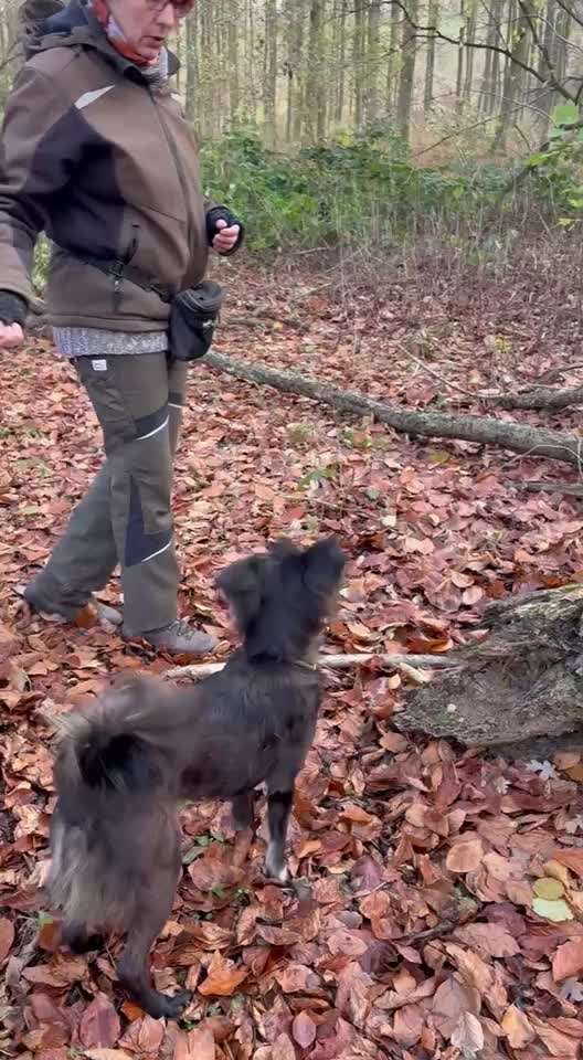 80. Trickspiel Balancieren-Beitrag-Bild