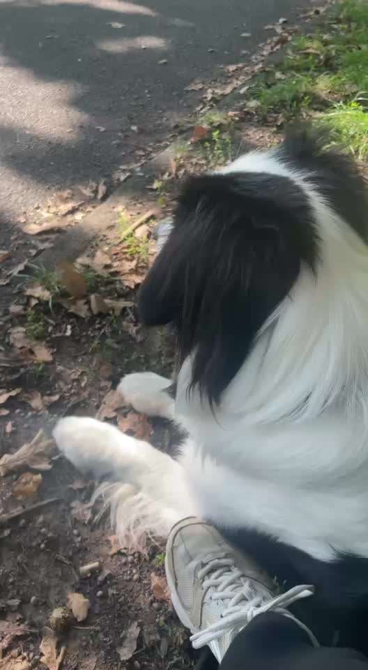 Das große Fiepen (und es nimmt kein Ende)-Beitrag-Bild