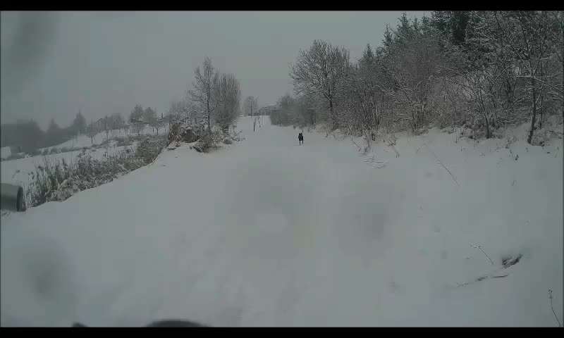 Kurzgeschichten-Challenge Nr. 18-Beitrag-Bild